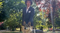 Città di Castello, Lorenzo e la sua Glyphis trionfano al Tiferno dog show
