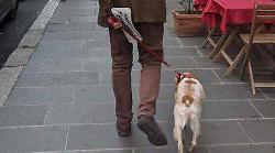 Terni, bottiglietta d'acqua per pulire la strada dalla pipì del proprio cane: ordinanza e multe fino a 600 euro per chi non rispetta le regole