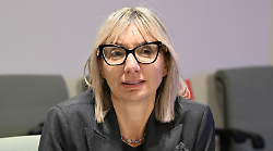 Emergenza lingua blu, allevatori in crisi: perdite del bestiame sino al 15%. L'assessore Meloni incontra gli operatori