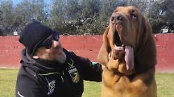 La morte del cane-eroe Bruno ha sconvolto l'Italia. Chi era il cagnolone di 7 anni ucciso da un boccone di wurstel e chiodi