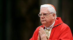 Il Caso Spotlight, la storia vera: l'inchiesta sui preti pedofili che travolse il Vaticano. La rete di silenzi e le coperture: la Chiesa sotto accusa