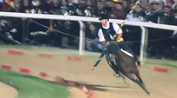 Quintana di Ascoli, vince Innocenzi