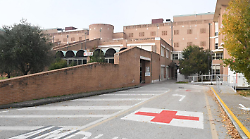 Maestra investita da un furgone mentre torna a casa in bici: la famiglia dona gli organi