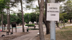 Gualdo Tadino, nuovo divieto nei giardini pubblici: parchi off limits per i cani. L'opposizione: "Cittadini penalizzati"