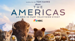 The Americas stasera in tv venerdì 25 luglio su Rai 2: la trama dei sue episodi