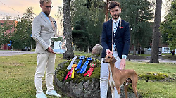 I levrieri più belli del mondo? Sono a Città di Castello: Stradivarius e Najla campioni ad Helsinki