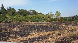 Divampa incendio vicino alle case: anche un elicottero per sedare le fiamme