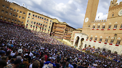 Palio di Siena, è il giorno della Carriera: orario e dove vederlo in tv. Ci sarà anche Madonna