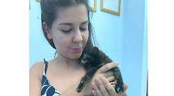 Gatti scaraventati dal finestrino dell'auto in corsa, una coppia si ferma a soccorrerli e ne adotta uno, l'altro muore