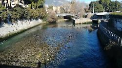 Donna salvata sul ponte Garibaldi: poliziotto libero dal servizio soccorre insieme ai colleghi
