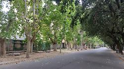 Terni, sit-in martedì 19 agosto alle 19 alla Passeggiata contro il taglio di 18 alberi. "Difendiamo il nostro parco e l’aria dei nostri figli"