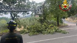 Continuano gli interventi dei vigili del fuoco: oggi già 40 operazioni in provincia di Perugia
