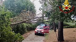 Terni, forti raffiche di vento e brevi bombe d'acqua: numerosi interventi dei vigili del fuoco per rami di alberi spezzati