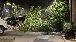 Paura a Spoleto per la caduta di un albero: fatale una folata di vento durante il temporale