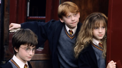 "Back to Hogwarts", il primo settembre torna il raduno dei fan di Harry Potter al Teatro Nazionale di Milano. Ecco tutte le novità in programma 