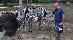 Un pezzo di Africa in Umbria al Leo Wild Park: l'oasi verde tra laghi navigabili e oltre 250 animali (anche esotici)