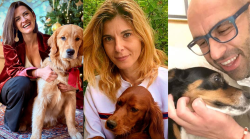Veterinario gratis? C'è già ma con troppi ostacoli