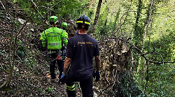 Assisi, anziano travolto e ucciso  da un albero mentre lo stava tagliando