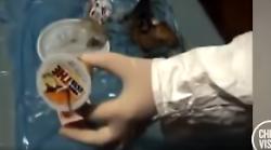 Delitto di Garlasco, prosegue la ricerca delle impronte latenti nella spazzatura di casa Poggi