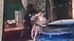 Aggressione folle a Fontivegge, prende la rincorsa e sferra un colpo a una passante: il video
