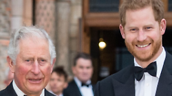 Harry, dopo l'incontro con Re Carlo: "Ora ho una sola priorità"