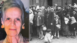 Emilia è Giusta fra le Nazioni: nascose gli ebrei destinati alla deportazione in un magazzino di tabacchi