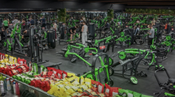 Perugia, arriva la prima Green Theory dell’Umbria: il futuro del fitness di lusso