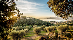 L'Umbria apre la strada a una nuova era dell'olio extravergine e a un nuovo approccio dell'industria olearia: dai reflui del frantoio nasce valore sostenibile ed economico