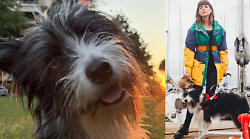 Blanca, il vero nome del nuovo Cane 3 che prende il posto di Linneo nella terza stagione