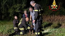Cane bloccato nella scarpata: salvato dai Vigili del Fuoco
