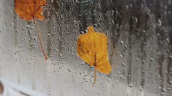 Estate di San Martino al capolinea, inverno in arrivo. Le previsioni per il weekend 