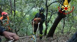 Orvieto, cagnetta precipita in un dirupo e resta bloccata. Salvata dai vigili del fuoco grazie alla segnalazione di un gruppo di cacciatori