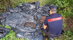 Abbandonano rifiuti speciali in campagna: i forestali denunciano 2 persone e prescrivono la bonifica dell'area