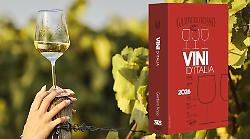 I vini migliori dell'Umbria secondo la guida Gambero Rosso 2026: le etichette premiate con i Tre Bicchieri 
