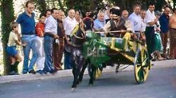 Gualdo Tadino, cordoglio in città per la morte di Luigi Pasquarelli 