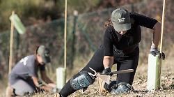 L'agricoltura del futuro, dal seme all'impresa