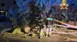 Maltempo a Terni, albero crolla in via Di Vittorio e danneggia un’auto parcheggiata