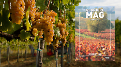 Torna gratis Corriere Mag dedicato al mondo del vino