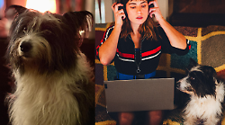 Blanca, la vera vita di Cane 3: "Si chiama Ronda, è un Border Collie e da piccola era una peste"