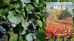 Torna il Corriere Mag dedicato al mondo del vino: sfoglia l'inserto 
