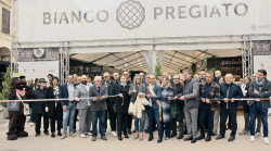 Città di Castello, tartufi da record al 45° Salone Nazionale del Tartufo Bianco Pregiato