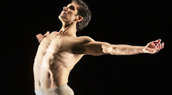 Dopo la laurea honoris causa, il 14 e 15 novembre l'etoile chiude le celebrazioni del 25° anniversario di carriera con lo spettacolo Roberto Bolle and friends
