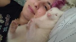 Una topo-sitter con 21 animali in casa. Impiegata delle Poste ha trasformato la sua abitazione in un’arca di Noè: "Sfida impegnativa"