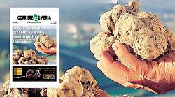 Mostra del Tartufo di Fabro, vetrina d’eccellenza per le filiere locali e il patrimonio culturale. Sfoglia l'inserto