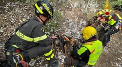 Si perdono durante un'escursione e il loro cane rimane ferito: cacciatori recuperati dai vigili del fuoco