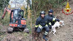 Cane rimane intrappolato nel cunicolo scavato da un istrice: serve l'escavatore per salvarlo