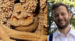 Scoperte perugine sull'uomo di Neanderthal: nuovo studio rivela come respirava