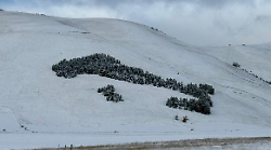 La neve copre di bianco Norcia e Castelluccio e regala spettacolo: le foto più belle