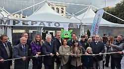 Terni, taglio del nastro per la festa più dolce dell'anno. Tanti appuntamenti per Sweet Pampepato 2025