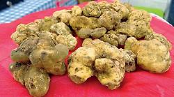 La Regione istituisce il Marchio Umbria per i prodotti tipici